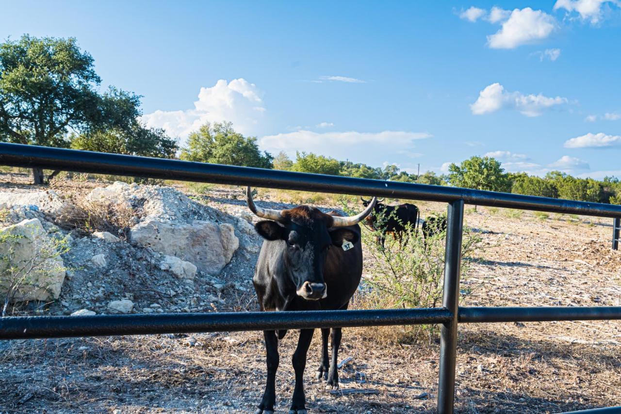 Gruene Daze Chalet - Stylish Aframe - Escape The Ordinary นิวบราวน์เฟลส์ ภายนอก รูปภาพ